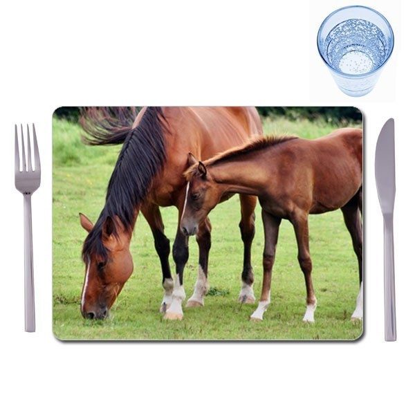 Set of 4 extra large photo placemats