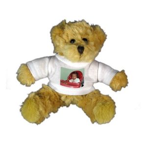 Cute Plush Teddy Bears