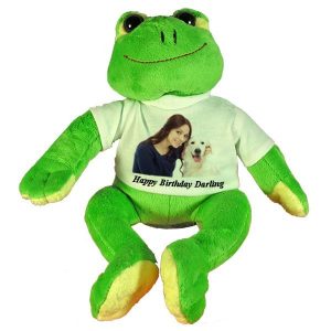 Personalised Birthday Gift soft toy Frog